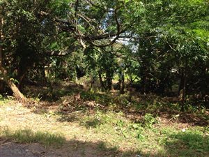 1496 m² Land available in Uvongo