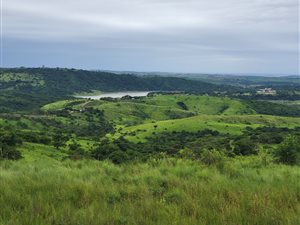 6.7 ha Farm in Verulam