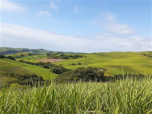 407 ha Farm in Ballito
