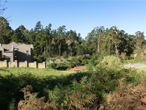 957 m² Land available in Heather Park