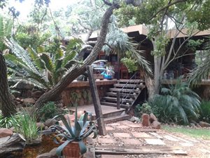 5.9 ha Farm in Bashewa