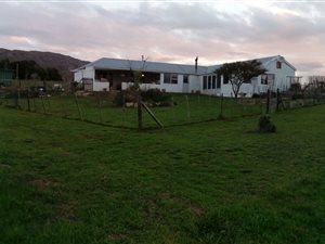 3 ha Farm in Tesselaarsdal