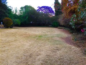 4 Bed House in Rembrandt Park