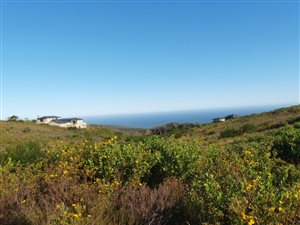 5265 m² Land available in Pezula Private Estate