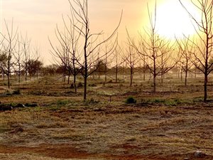 24 ha Farm in Bronkhorstspruit