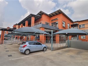 3 Bed Apartment in Ravenswood