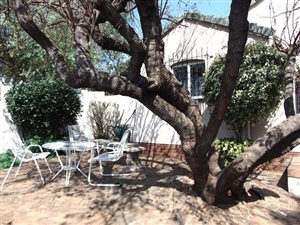 3 Bed House in Albertville