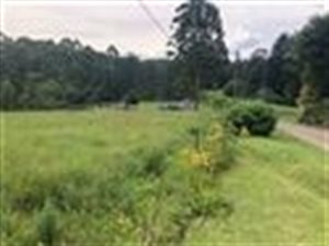 3.6 ha Land available in Hilton