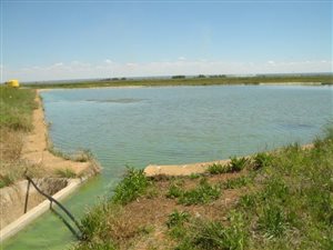 77 ha Farm in Hartswater