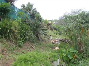 1966 m² Land available in Nagina