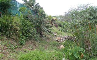 1966 m² Land available in Nagina