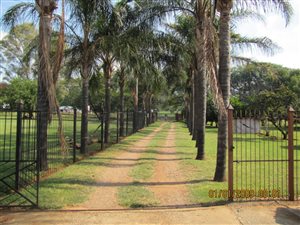 1.3 ha Farm in The Orchards