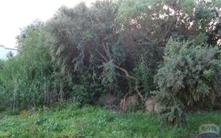 785 m² Land available in Aston Bay