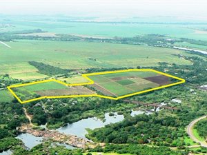 33 ha Farm in Komatipoort