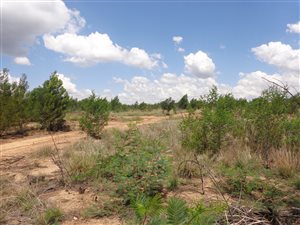 340 m² Land available in Mooikloof Country Residences