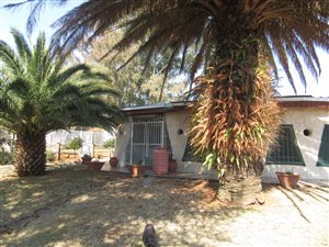 9000 m² Farm in De Deur