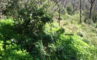 392 m² Land available in Simons Town
