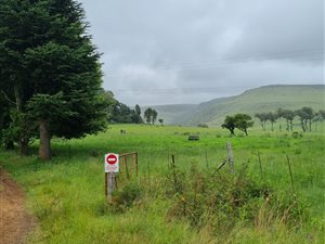 4405 ha Farm in Harrismith