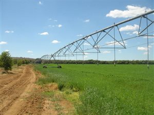 111 ha Farm in Hartswater