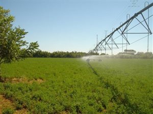 16 ha Farm in Jan Kempdorp