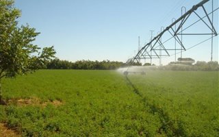 16 ha Farm in Jan Kempdorp