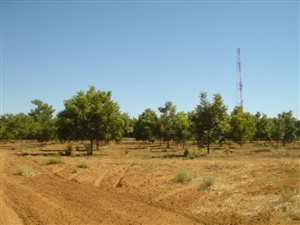 16 ha Farm in Jan Kempdorp