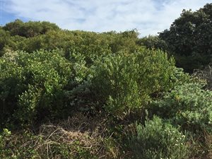 700 m² Land available in Paradise Beach