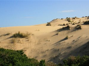 3901 m² Land available in Nautilus Bay