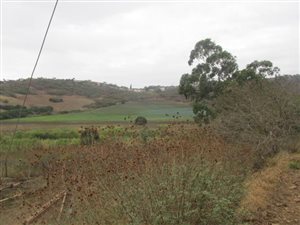 4.1 ha Land available in Verulam