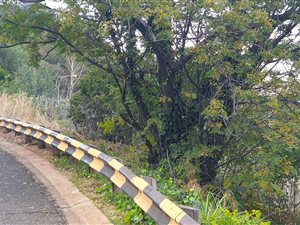 1995 m² Land available in Northcliff