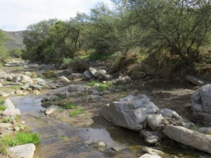 590 ha Farm in Montagu