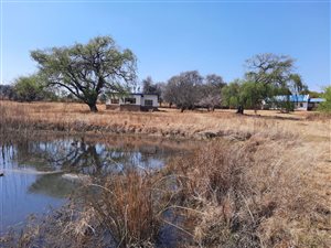 63.9 ha Farm in Dullstroom