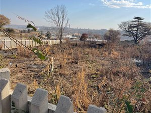 2.8 ha Land available in Linbro Park