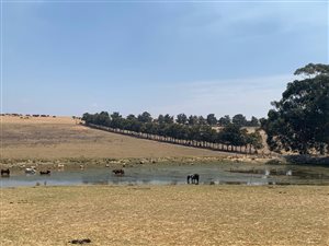16 ha Farm in Klapmuts
