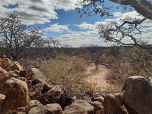 441 ha Farm in Swartwater and surrounds