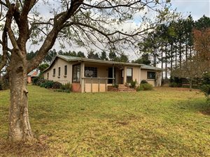 117 ha Farm in Howick