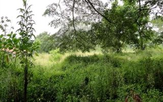 4560 m² Land available in Crestview