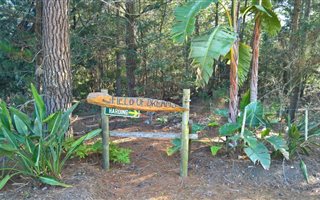 4.7 ha Farm in Harkerville