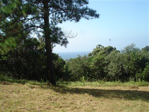 1423 m² Land available in Hibberdene