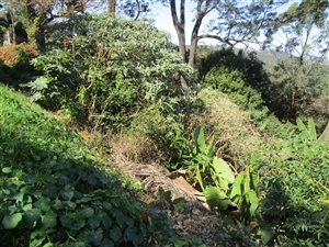 3494 m² Land available in Cowies Hill