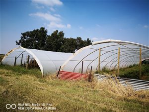 36 ha Farm in Randfontein Central