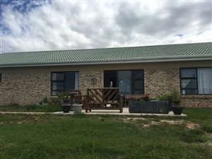5 Bedroom House in Glen Eden