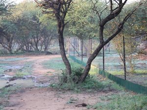 1 m² Commercial space in Bela-Bela (Warmbaths)