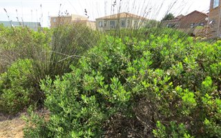 832 m² Land available in Stilbaai