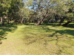 597 m² Land available in Lake Brenton