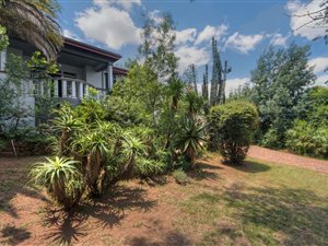 4 Bed House in Observatory