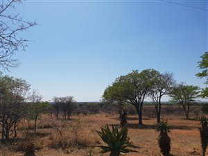 493.2 ha Farm in Modimolle
