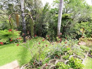 4 Bed House in Dorchester Heights