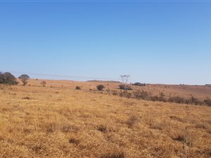 24 ha Land available in Krugersdorp Central
