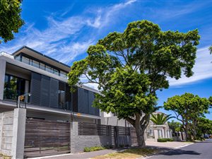 6 Bed House in Rondebosch East